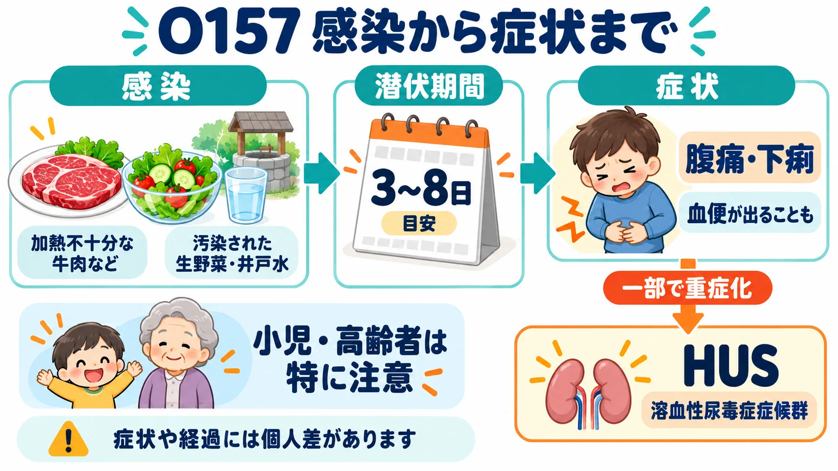 O157の感染源、潜伏期間3〜8日の目安、腹痛・下痢と、一部でHUSに至る経過を示す模式図