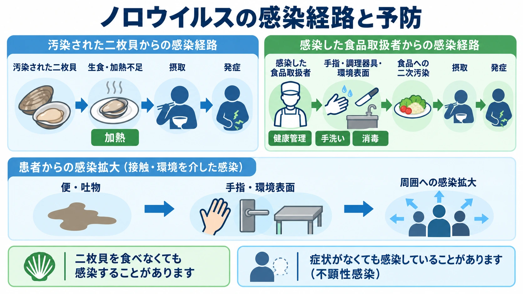 ノロウイルスが汚染された二枚貝または感染した食品取扱者を介して食品を汚染し、摂取により発症する経路と、便・吐物からの拡大、加熱・手洗い・消毒・健康管理による予防ポイントを示した図