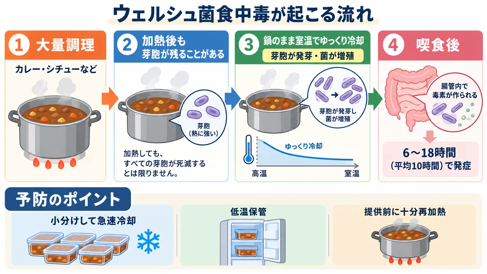 ウェルシュ菌食中毒が起こる流れを示す図。大量調理後に鍋のまま室温でゆっくり冷却すると、加熱後も残った耐熱性の芽胞が発芽・増殖し、喫食後6〜18時間(平均10時間)で発症する