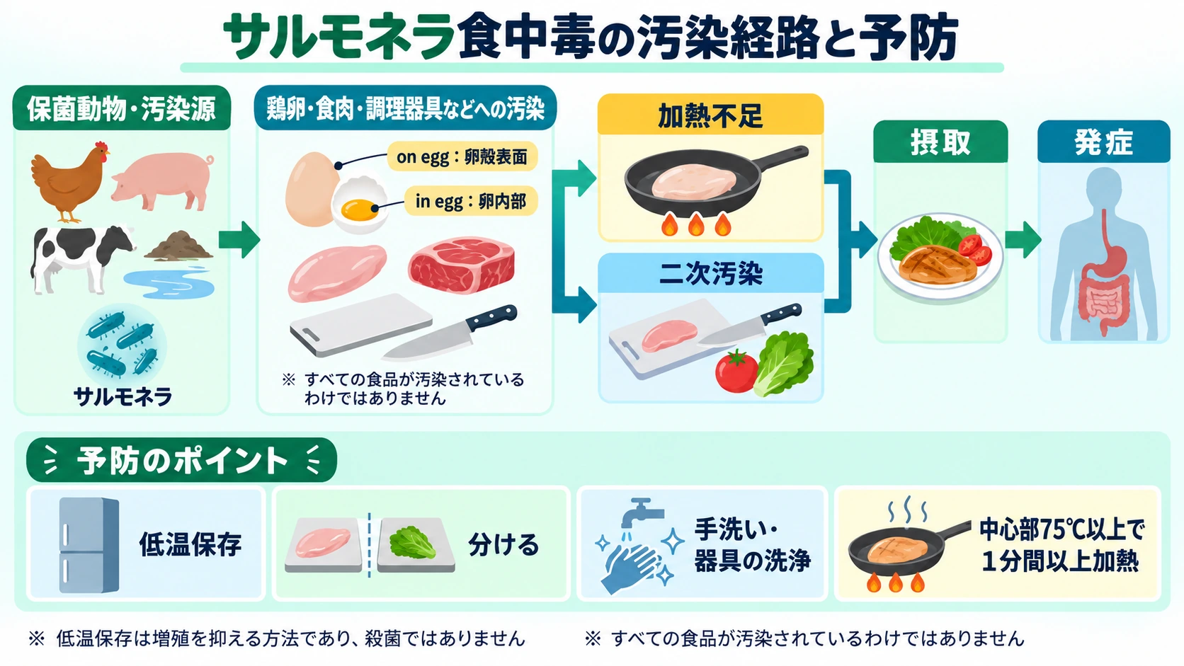 サルモネラが鶏卵や食肉、調理器具を介して摂取される経路と、加熱・低温保存・二次汚染防止のポイントを示した図