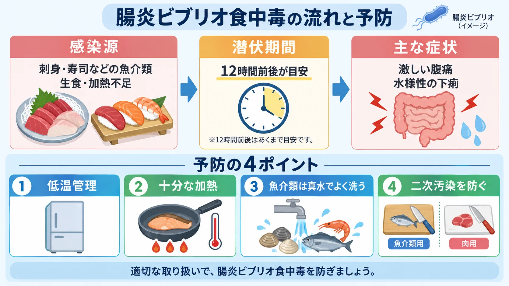 腸炎ビブリオ食中毒の感染源(魚介類の生食・加熱不足)、潜伏期間12時間前後の目安、主な症状(激しい腹痛・水様性下痢)、予防の4ポイント(低温管理・十分な加熱・真水での洗浄・二次汚染防止)を示す図